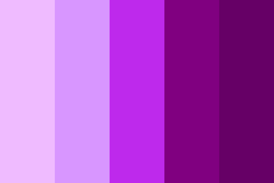 Shades of Purple Color Palette