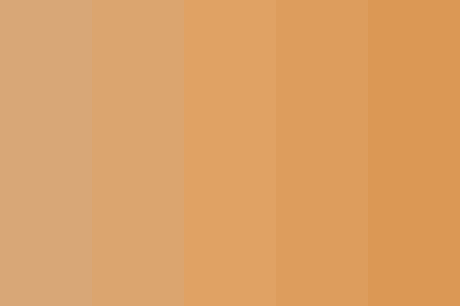 Fawn Orange Color Palette