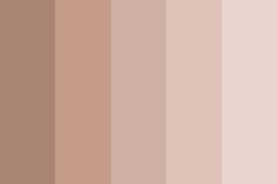 Shades Of Brown Color Palette 