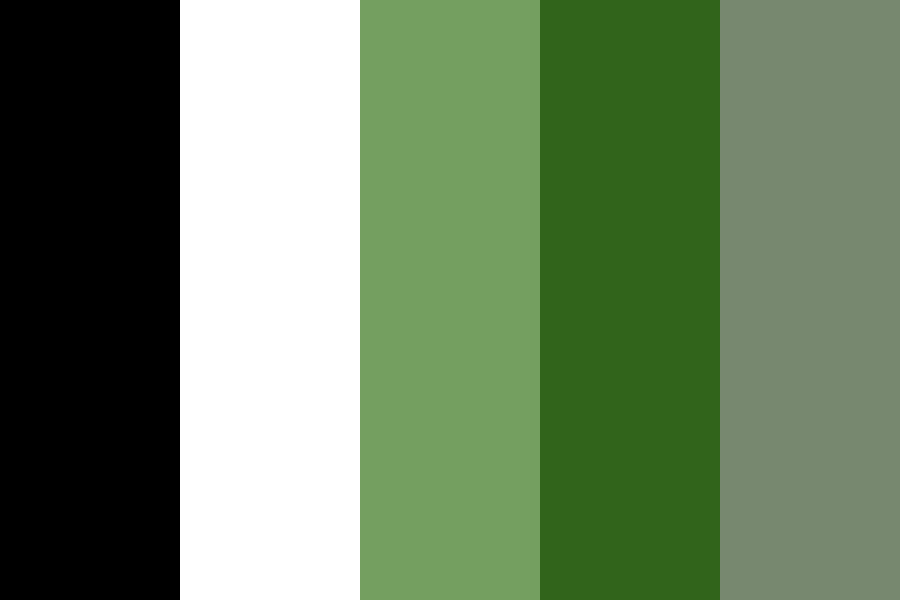 Chloe Leshner color palette
