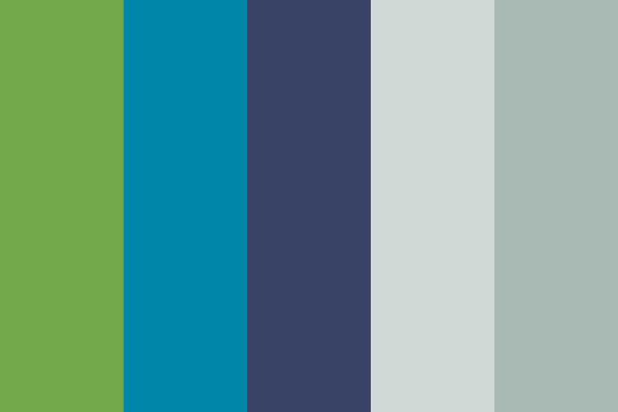 Silver Whiskers color palette