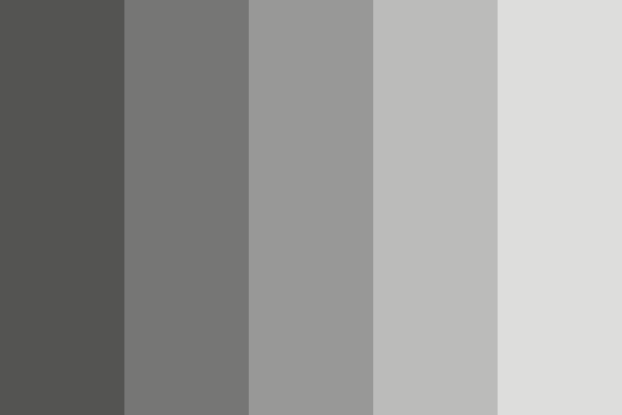 Raccoon color palette