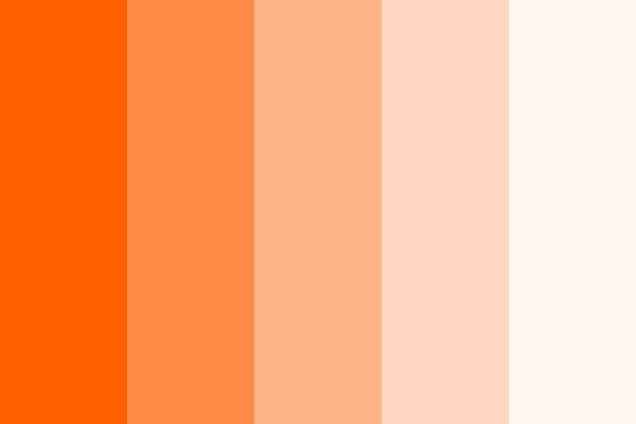 Vivid Orange Color Palette