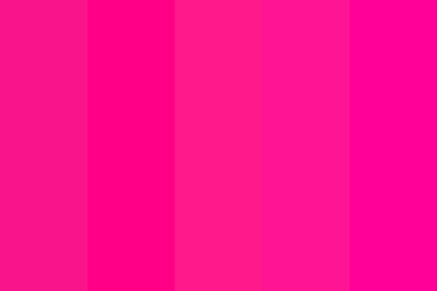 Hot Pink Paradise color palette