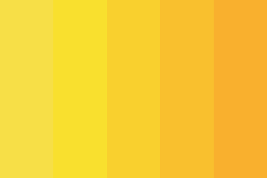 Cheddar - Yellow