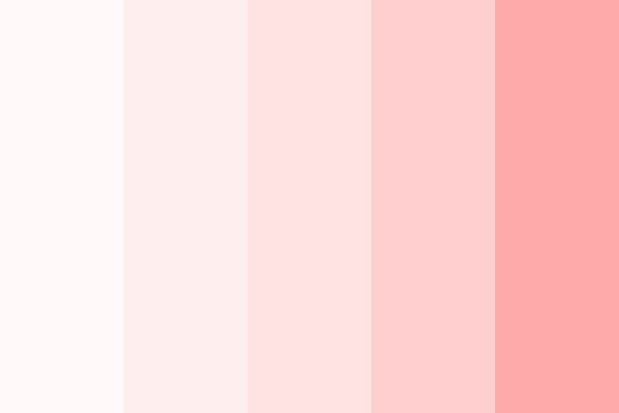 Pink color scale value scale color theme