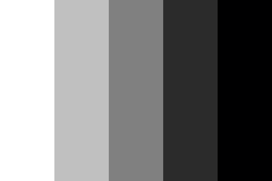 black to white gradient Color Palette
