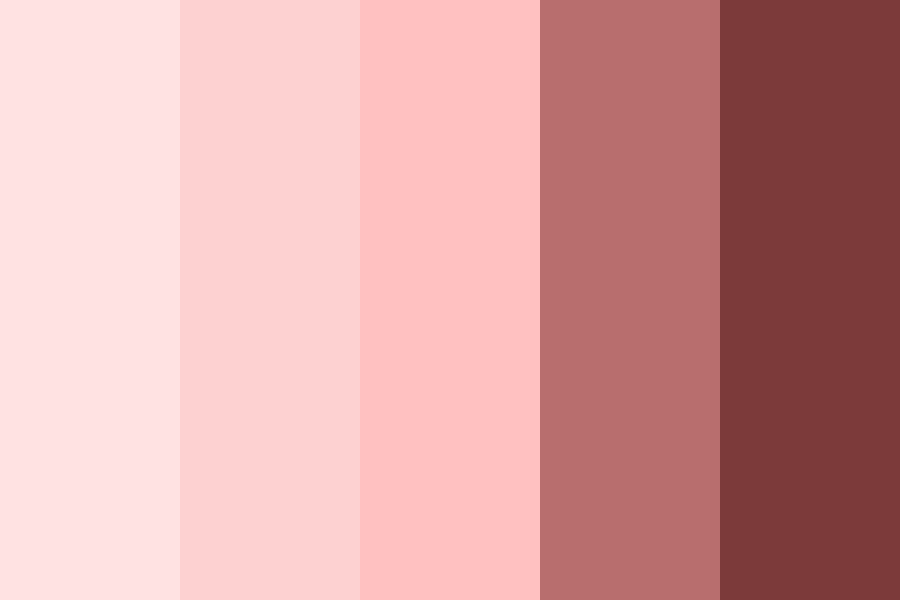 Skin Color Palette Color Palette