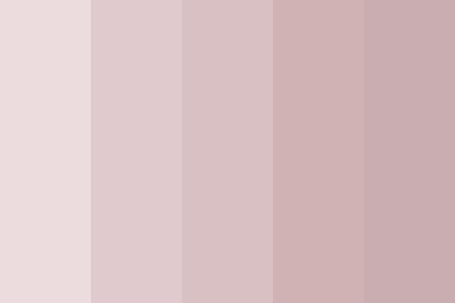 aesthetic colors aesthetic colors