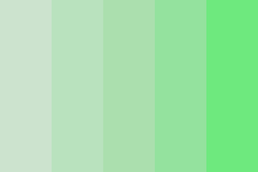 Translucent Toad Color Palette
