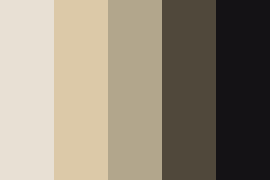Black and beige old book cover color palette