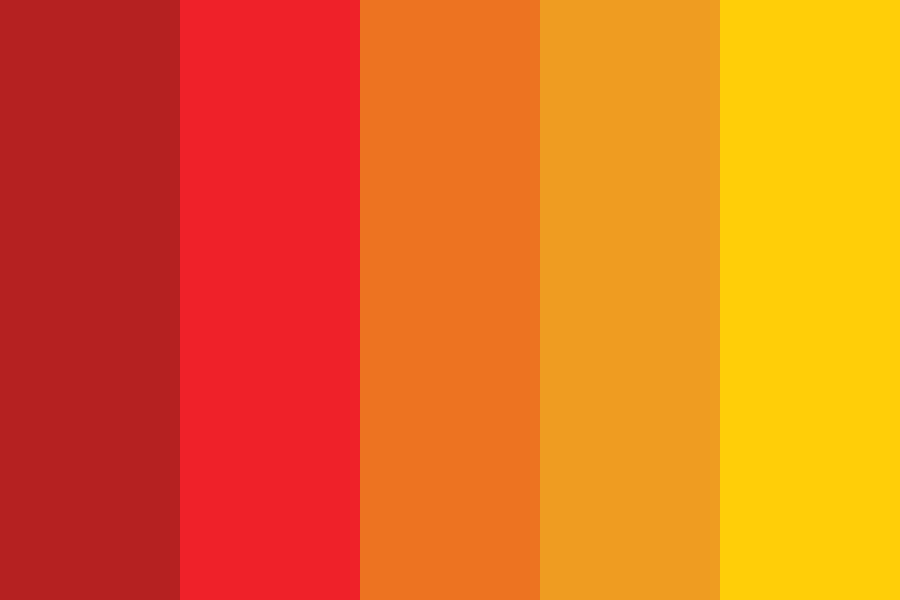 Bird Color color palette