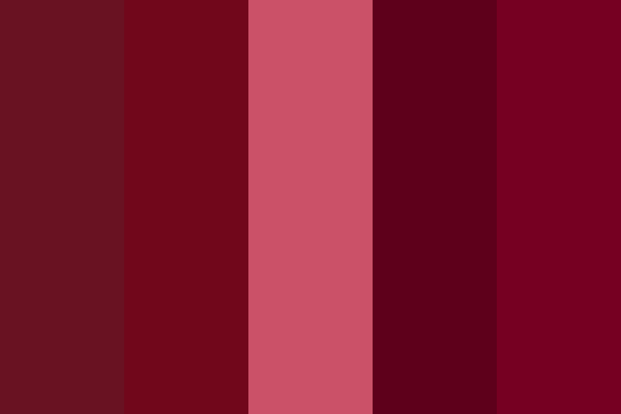 newCG color palette