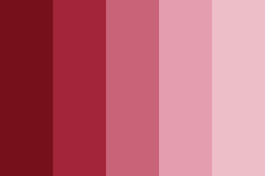 heart on the sleeve color palette