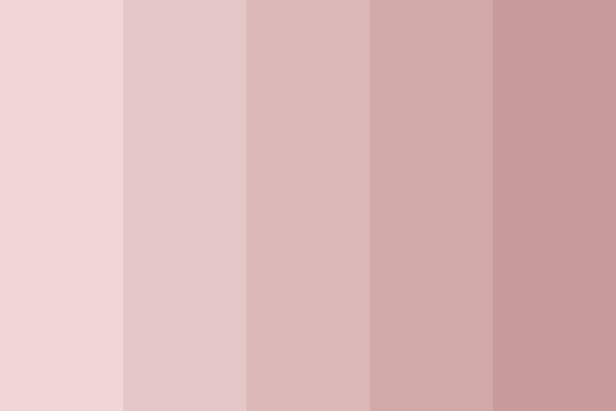 Skin colors test color palette
