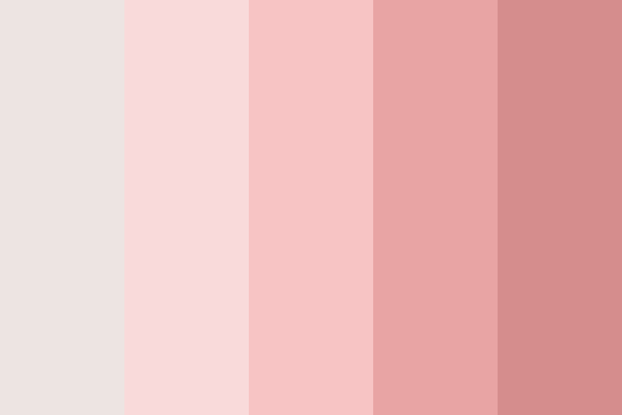 #EDE4E2 color palette