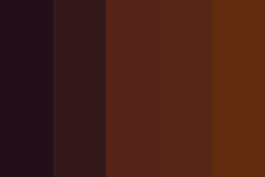 Brown Gilet color palette