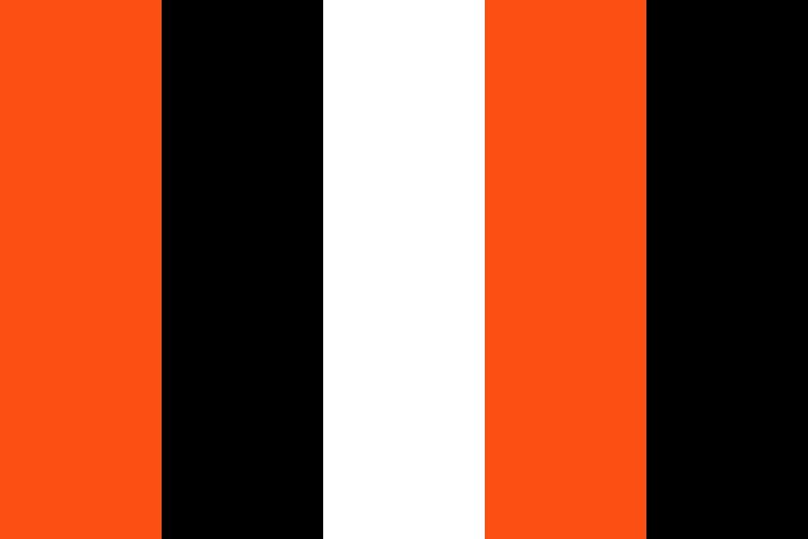 Who Dey color palette