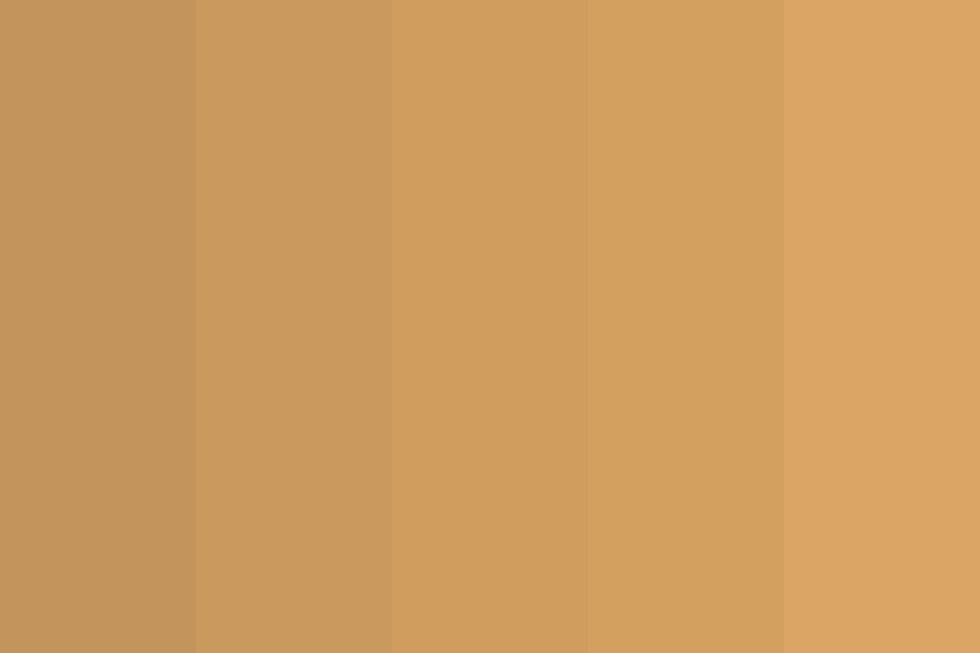 Dusty oranges Color Palette