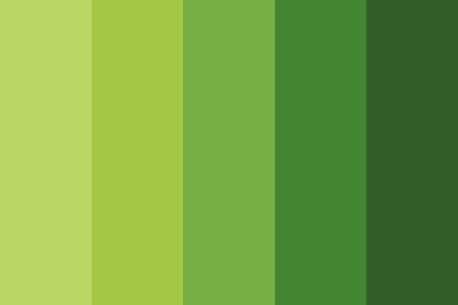 Зеленая раскладка. Зеленая палитра. Оттенки зеленого. Салатовый цвет палитра. Палитра зеленых оттенков.