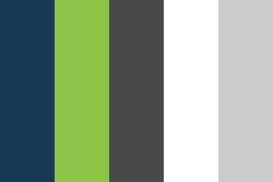 Tax Option 1 color palette