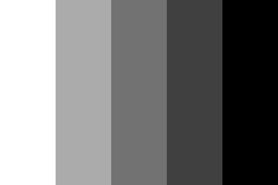 Black and White and Inbetween Color Palette