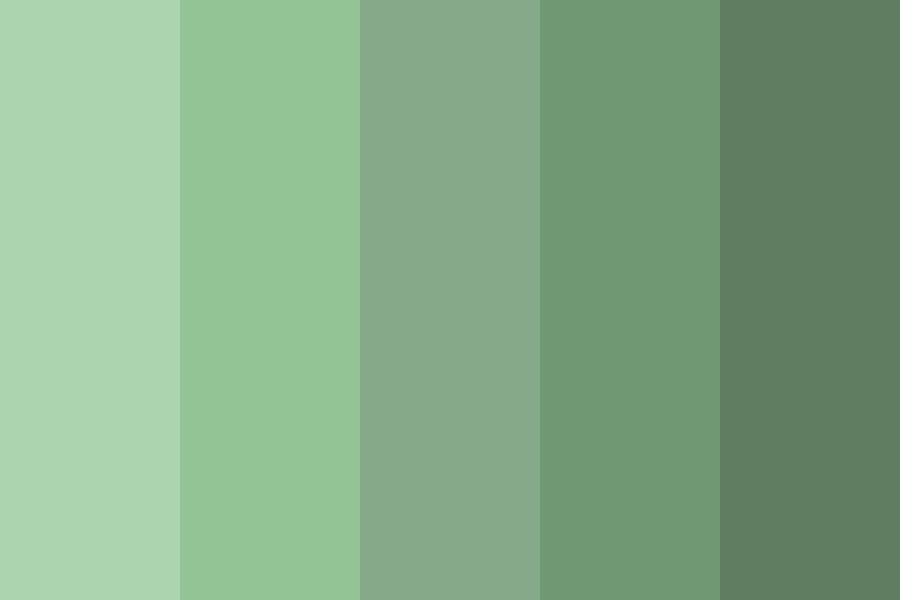 Night Mountain Color Palette
