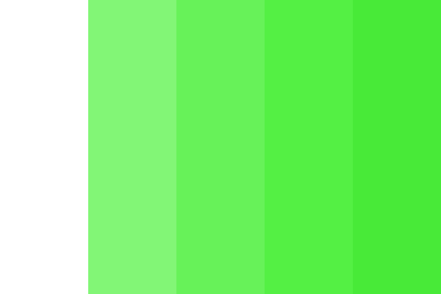 Rainforest Green Color Palette