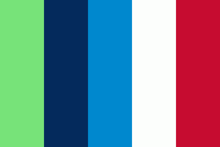 New York Liberty-Rangers color palette