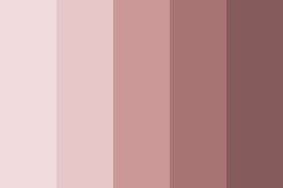 Dusty Rose 2 Color Palette