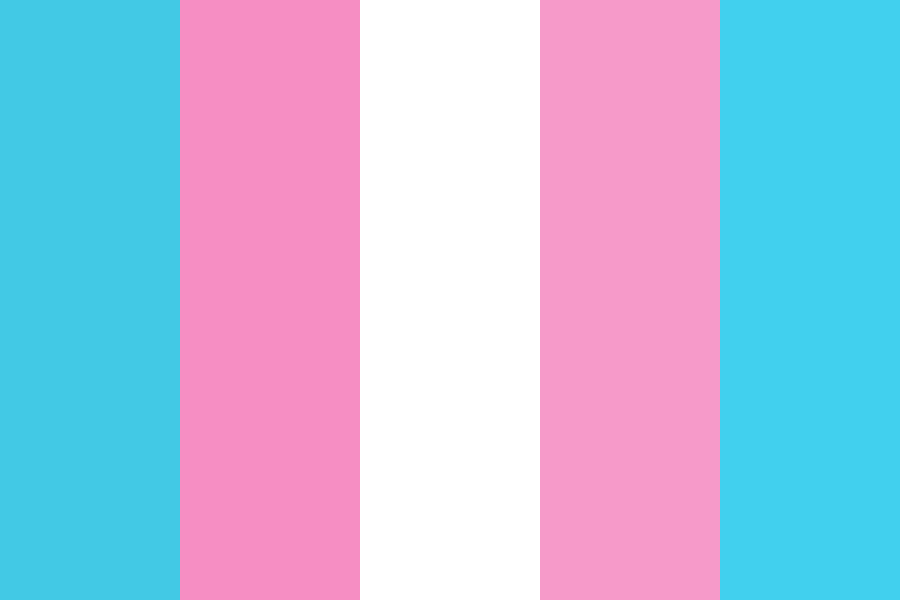 Trans Pride Color Palette