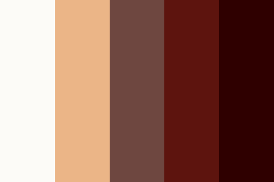 Cappuccino With Chocolate color palette