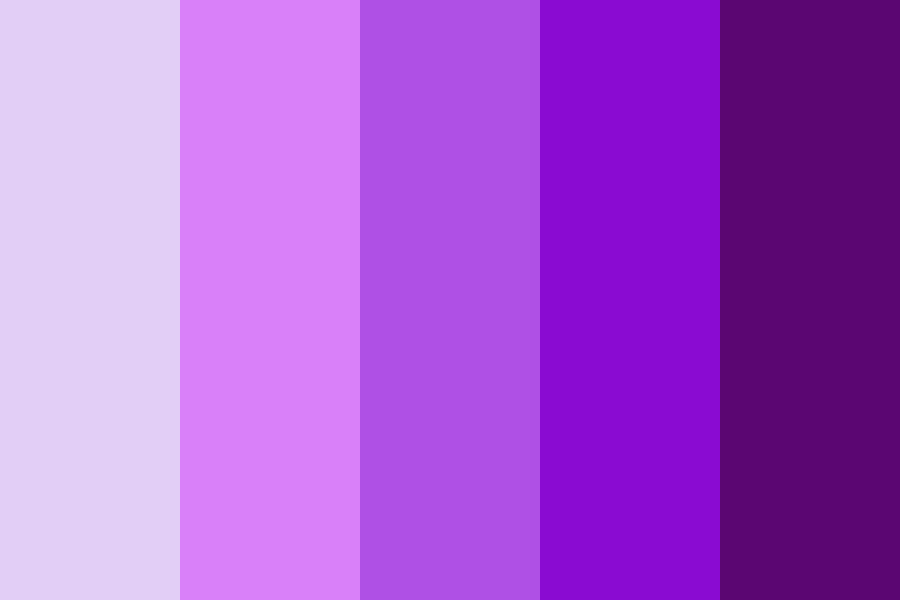 Qué significa violeta