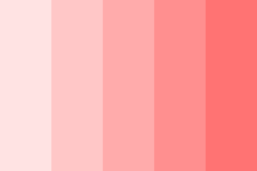 coral of love color palette