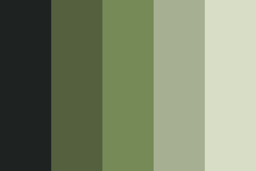 Rainforestry Color Palette