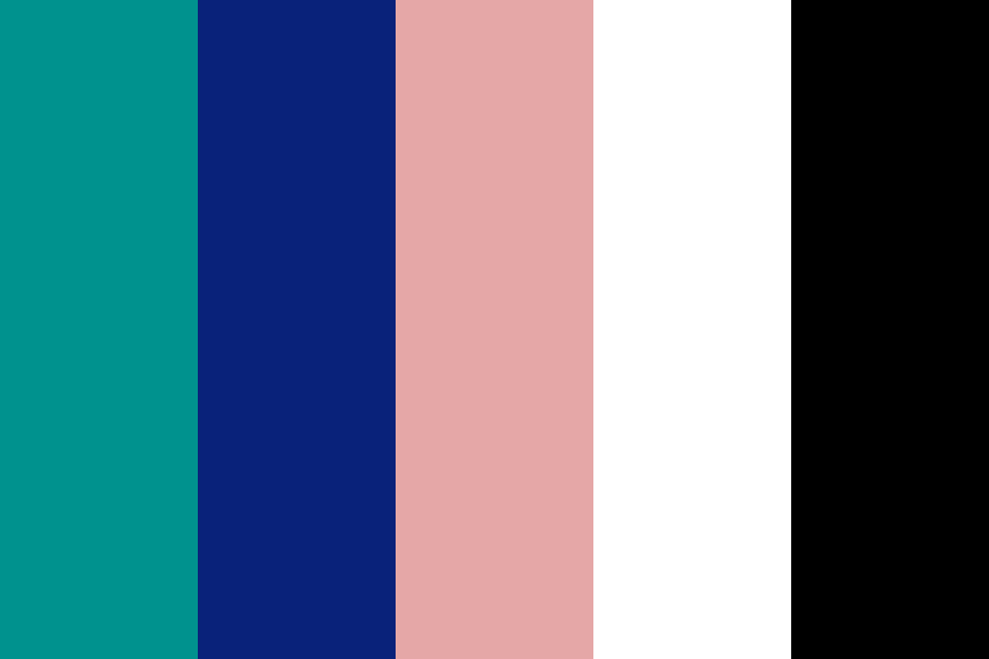 Nnpace business card Color Palette