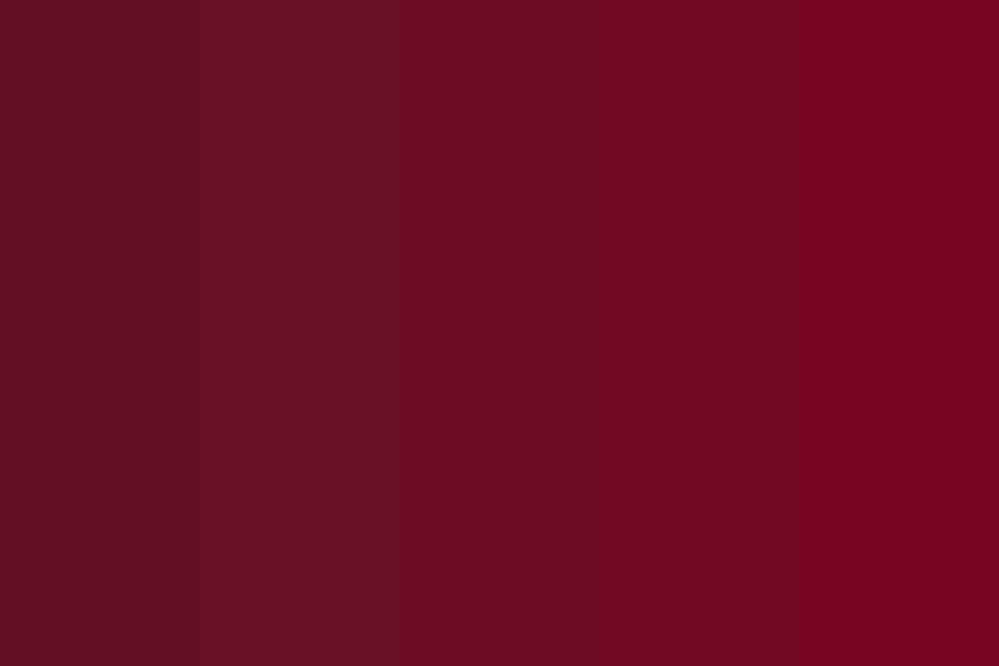 Burgundy Royalty Color Palette
