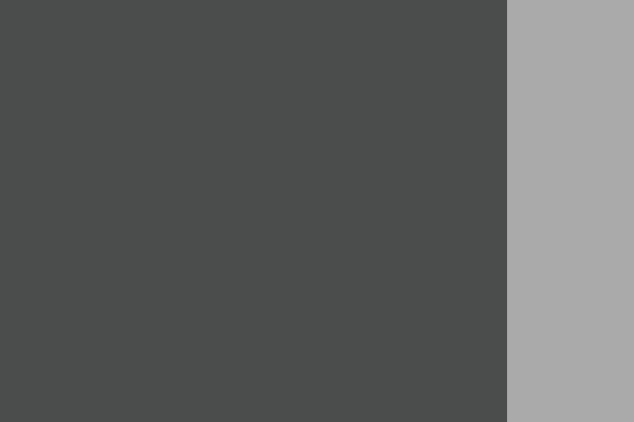 dark grey Color Palette