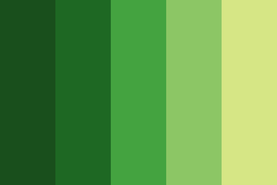 Tipos De Color Verde