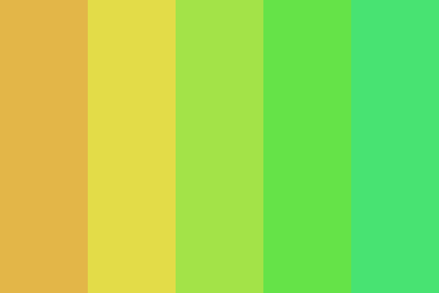 summertime breeze color palette