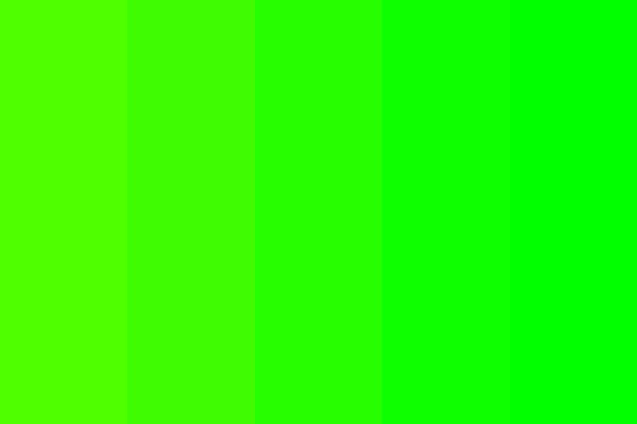 Neon Green Color 3