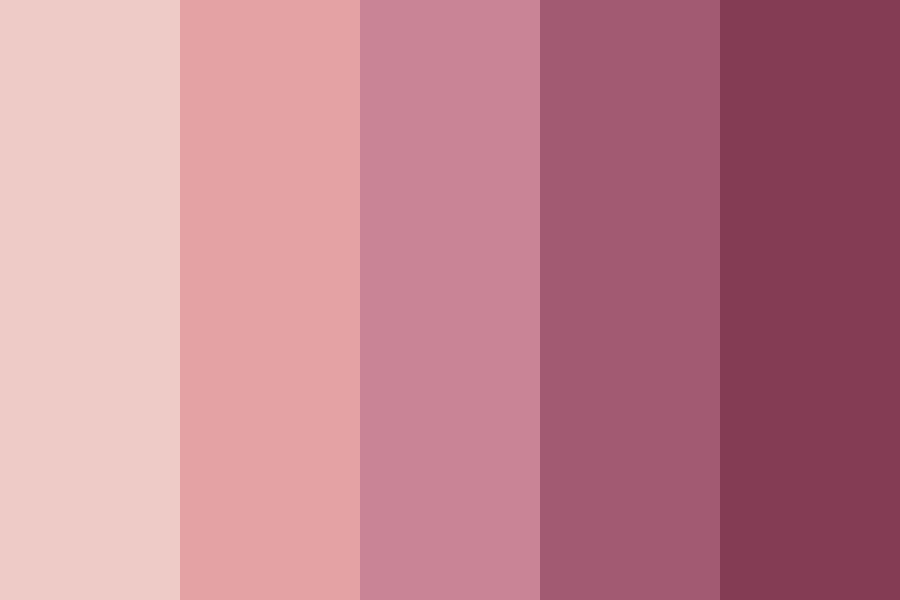 Pink Rose Petals Color Palette
