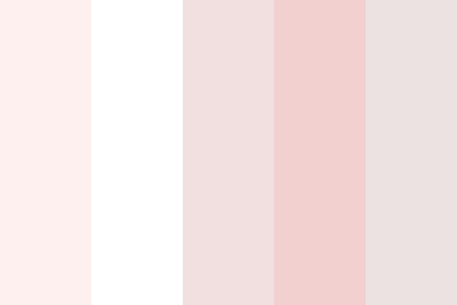 m s f y color palette