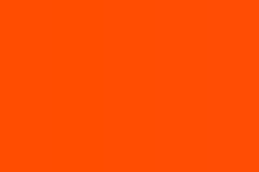 Как выглядит оранжевый цвет фото