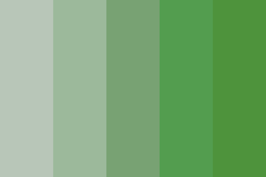 Pale Emerald Color Palette