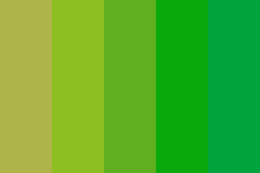 Rainforest Color Palette