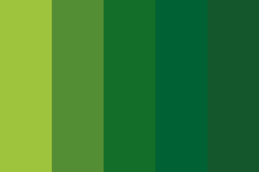Spring Green and Emerald Color Palette