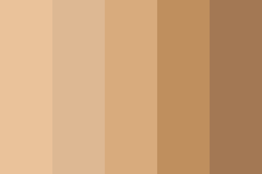 coffee at noon color palette