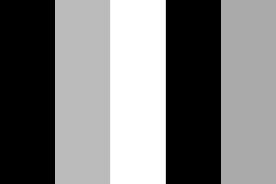 raidernation color palette