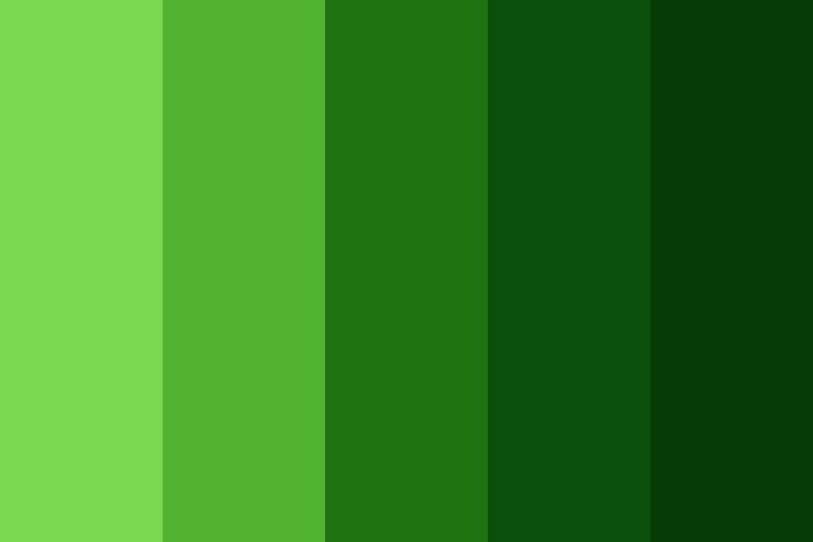 Emerald Forrest Color Palette
